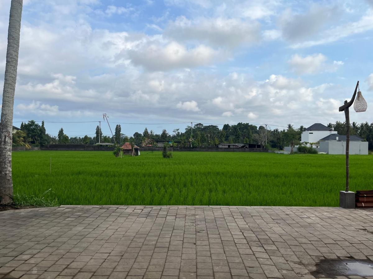 Pondok Eka Wood أوبود المظهر الخارجي الصورة